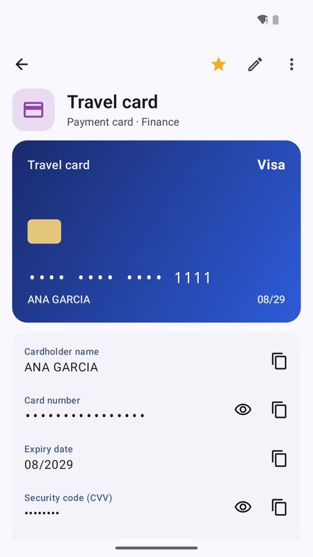 1B Pass: Payment cards