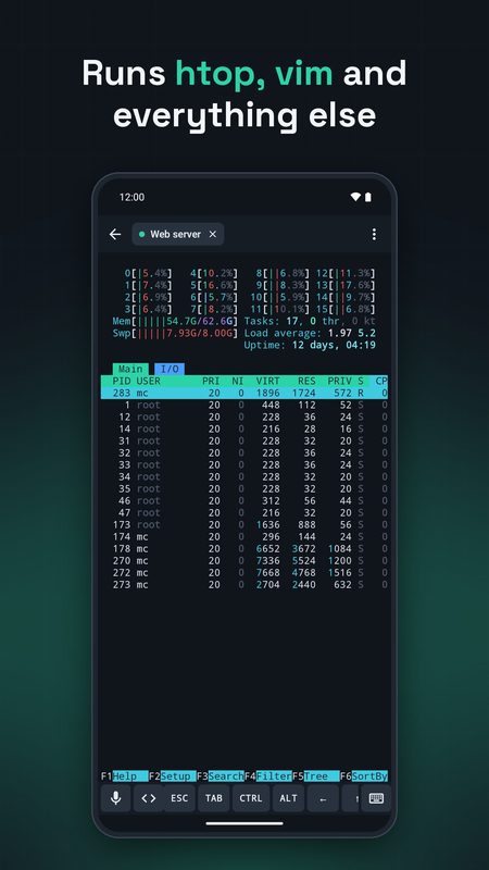 1B Terminal: htop, vim, tmux and everything else